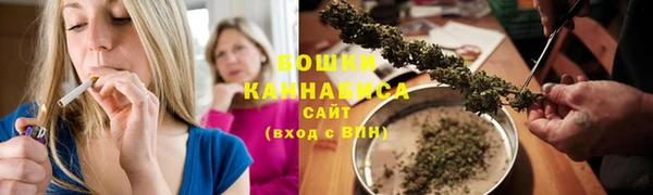 стафф Дедовск