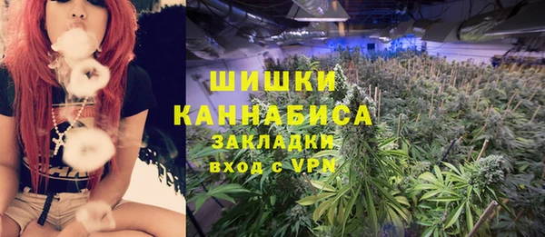 крисы Пестово