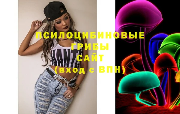 герыч Пересвет