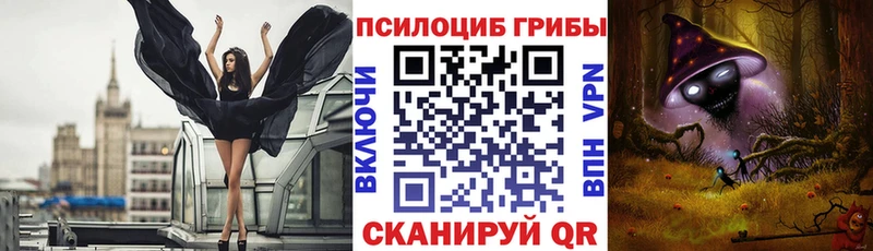 Псилоцибиновые грибы Psilocybe где купить наркоту Ядрин